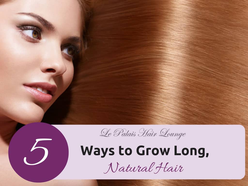 5 Ways To Grow Long, Natural Hair - Le Palais Hair Lounge, Nj